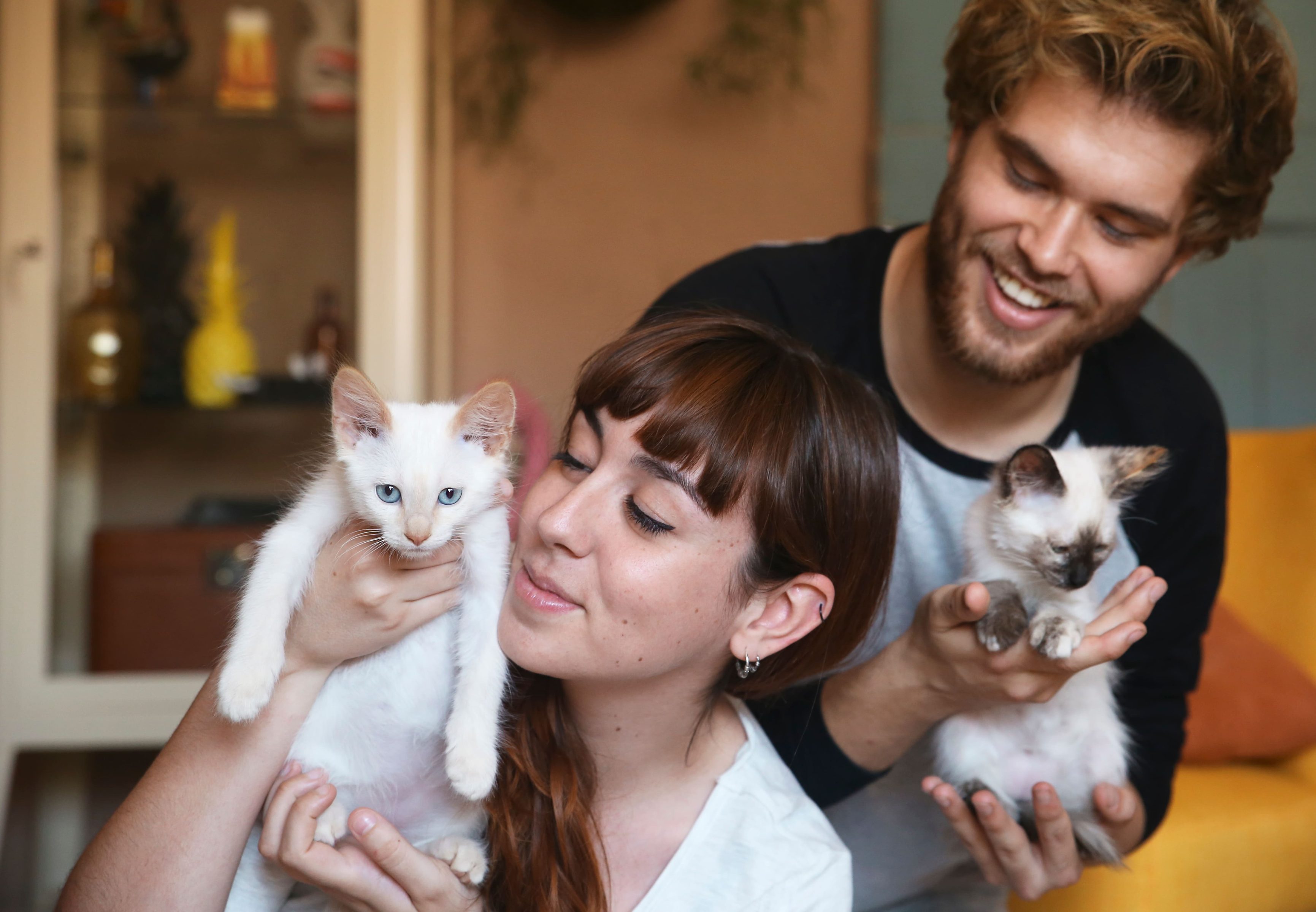 Was darf eine Katzen OP-Versicherung kosten?