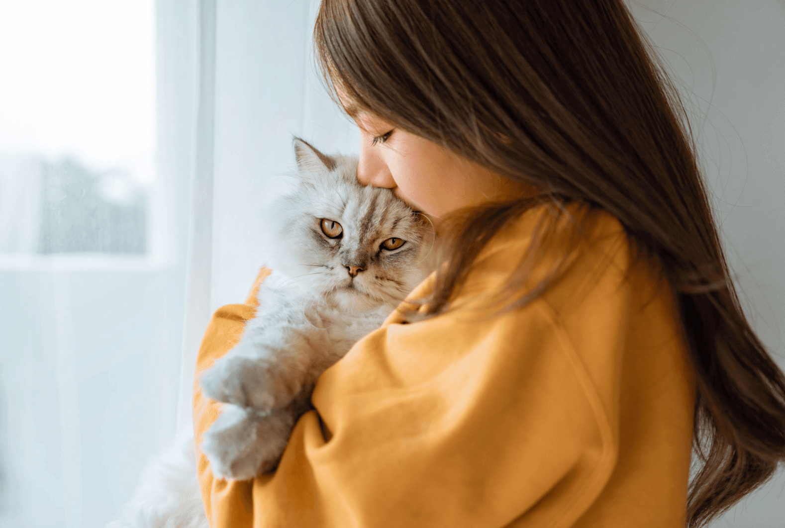 Die besten Katzenkrankenversicherungen im Vergleich