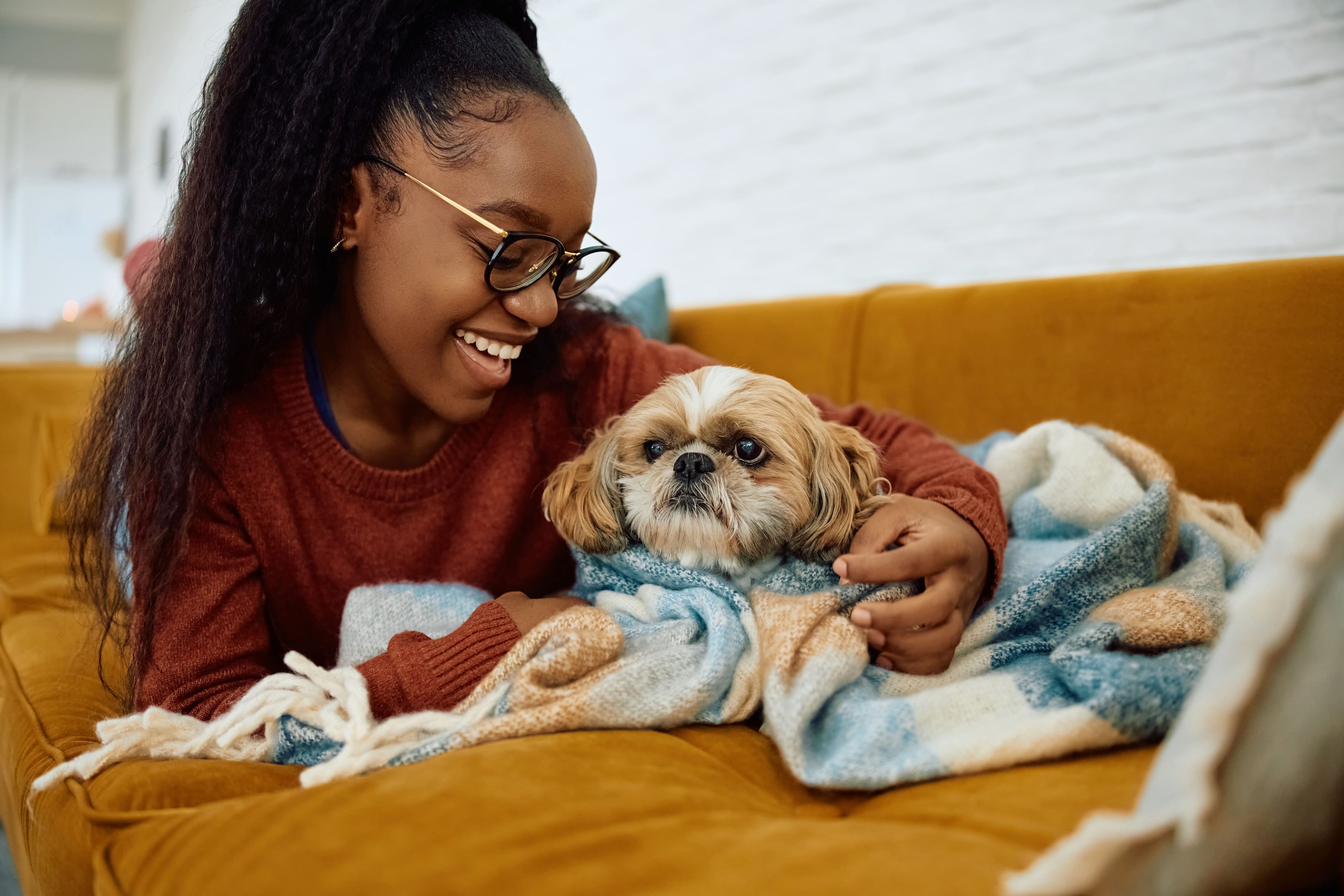 Die 5 besten Hundekrankenversicherungen mit Vollschutz 2026