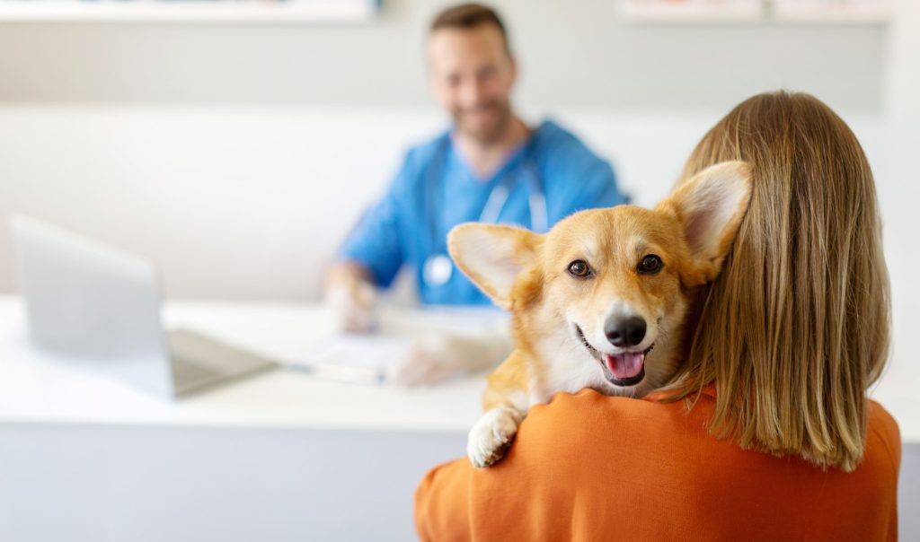 Hund beim Tierarzt – Tierarztpraxis mit glücklichem Hund auf dem Arm